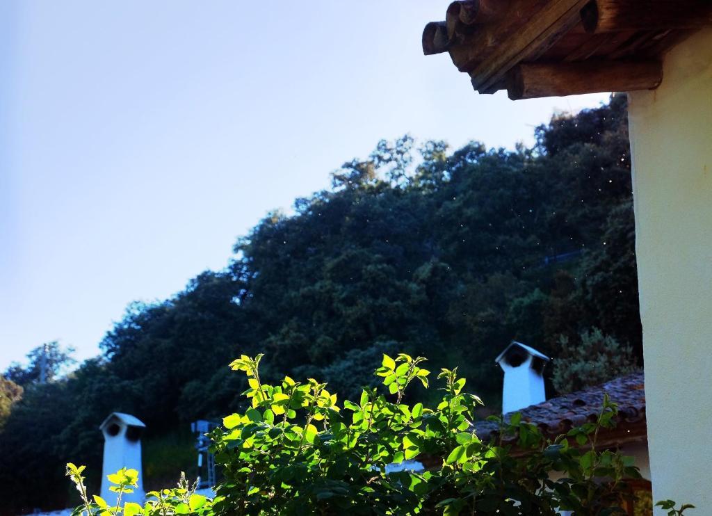 Ferienwohnung El Molino Del Corcho Cazalla de la Sierra Exterior foto