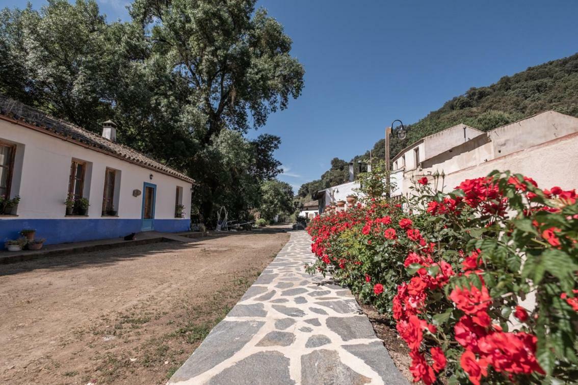 Ferienwohnung El Molino Del Corcho Cazalla de la Sierra Exterior foto